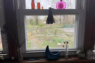 315 W Furlong St, Carrier Mills, IL 62917 - Photo 19