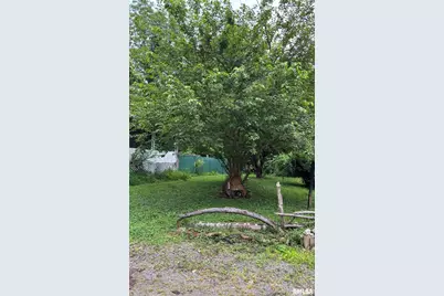 315 W Furlong Street, Carrier Mills, IL 62917 - Photo 35