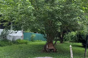 315 W Furlong St, Carrier Mills, IL 62917 - Photo 35