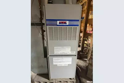 315 W Furlong Street, Carrier Mills, IL 62917 - Photo 23