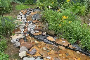 315 W Furlong St, Carrier Mills, IL 62917 - Photo 17