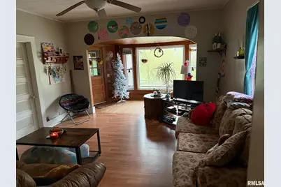 315 W Furlong Street, Carrier Mills, IL 62917 - Photo 3