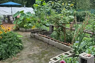 315 W Furlong St, Carrier Mills, IL 62917 - Photo 29