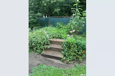 315 W Furlong Street, Carrier Mills, IL 62917 - Photo 27