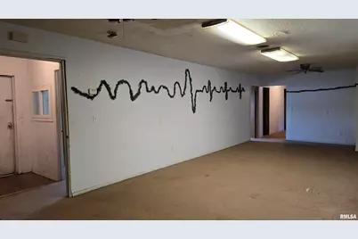 205 Shaw Street, Harrisburg, IL 62946 - Photo 21