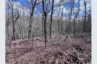 00 Deer Ridge Road, Orangeville, IL 62939 - Photo 11