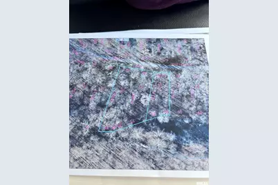 00 Deer Ridge Road, Orangeville, IL 62939 - Photo 7