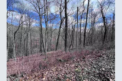 00 Deer Ridge Road, Orangeville, IL 62939 - Photo 9