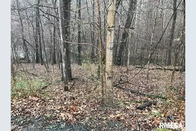 00 Deer Ridge Road, Orangeville, IL 62939 - Photo 1