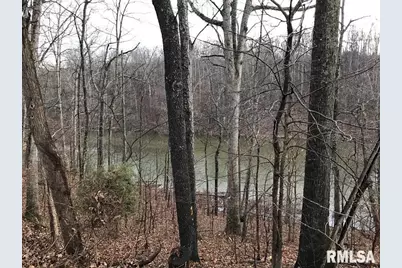 00 Deer Ridge Road, Orangeville, IL 62939 - Photo 5