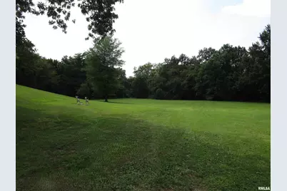 1253 County Road 800 E, Carmi, IL 62821 - Photo 43