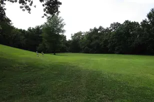 1253 County Rd 800 E, Carmi, IL 62821 - Photo 43