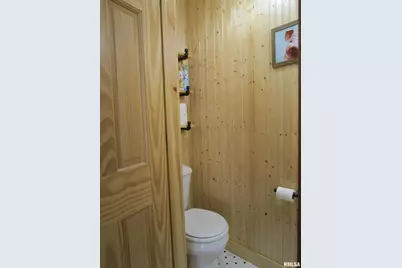 1253 County Road 800 E, Carmi, IL 62821 - Photo 33