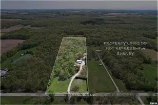 4636 Kinoka Rd, Alma, IL 62807 - Photo 3