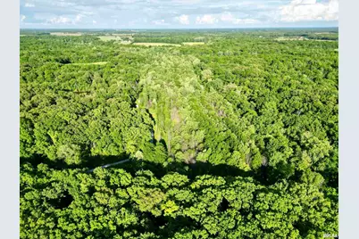 7544 Geranium Road, Rockdale, IL 62268 - Photo 19