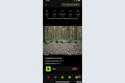 7544 Geranium Road, Rockdale, IL 62268 - Photo 29