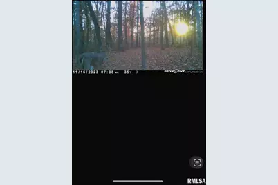 7544 Geranium Road, Rockdale, IL 62268 - Photo 27