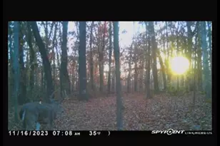 7544 Geranium Rd, Rockdale, IL 62268 - Photo 27