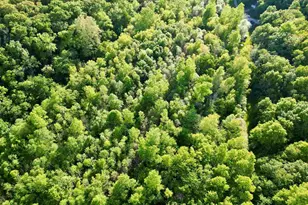 7544 Geranium Rd, Rockdale, IL 62268 - Photo 21