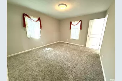 3005 W Woodlawn Place, Marion, IL 62959 - Photo 33