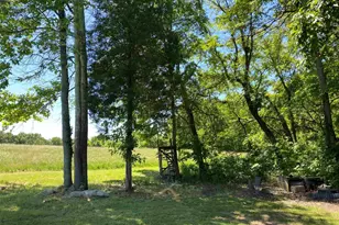 1640 Pleasant Ridge Rd, Vienna, IL 62995 - Photo 31