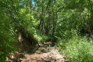 1640 Pleasant Ridge Rd, Vienna, IL 62995 - Photo 37