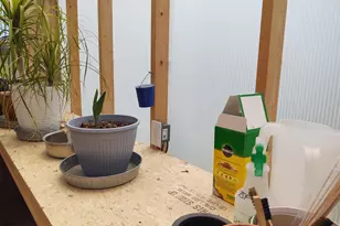 1640 Pleasant Ridge Rd, Vienna, IL 62995 - Photo 59