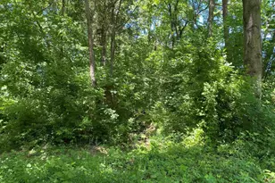 1640 Pleasant Ridge Rd, Vienna, IL 62995 - Photo 41