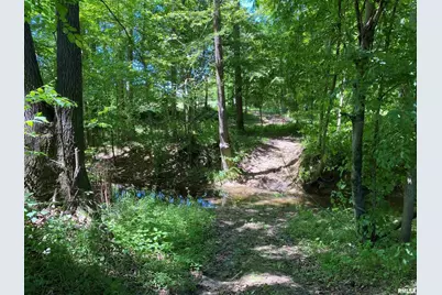 1640 Pleasant Ridge Road, Vienna, IL 62995 - Photo 33