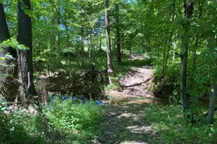 1640 Pleasant Ridge Rd, Vienna, IL 62995 - Photo 33