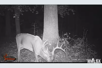 1640 Pleasant Ridge Road, Vienna, IL 62995 - Photo 81