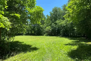 1640 Pleasant Ridge Rd, Vienna, IL 62995 - Photo 41