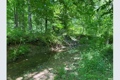 1640 Pleasant Ridge Road, Vienna, IL 62995 - Photo 35