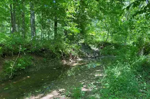 1640 Pleasant Ridge Rd, Vienna, IL 62995 - Photo 35