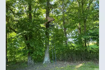 1640 Pleasant Ridge Road, Vienna, IL 62995 - Photo 39