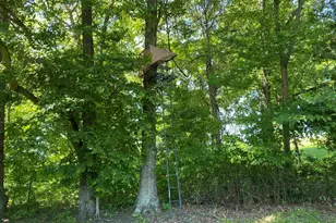 1640 Pleasant Ridge Rd, Vienna, IL 62995 - Photo 39