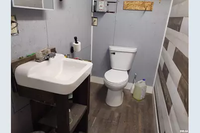 1640 Pleasant Ridge Road, Vienna, IL 62995 - Photo 49