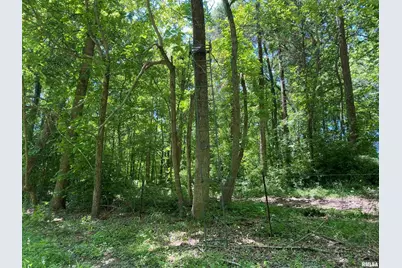 1640 Pleasant Ridge Road, Vienna, IL 62995 - Photo 43