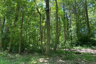 1640 Pleasant Ridge Rd, Vienna, IL 62995 - Photo 43