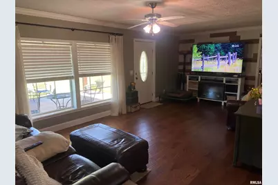 1640 Pleasant Ridge Road, Vienna, IL 62995 - Photo 13