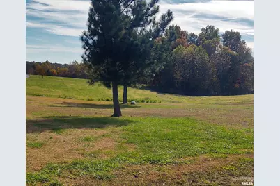 1640 Pleasant Ridge Road, Vienna, IL 62995 - Photo 67