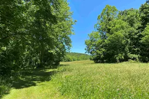 1640 Pleasant Ridge Rd, Vienna, IL 62995 - Photo 7