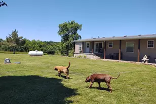 1640 Pleasant Ridge Rd, Vienna, IL 62995 - Photo 53