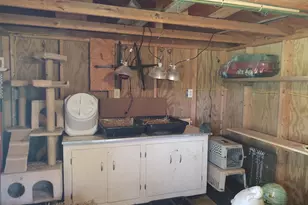 1640 Pleasant Ridge Rd, Vienna, IL 62995 - Photo 57