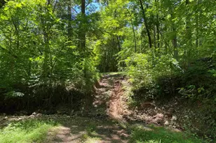 1640 Pleasant Ridge Rd, Vienna, IL 62995 - Photo 43