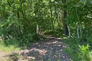 1640 Pleasant Ridge Rd, Vienna, IL 62995 - Photo 29