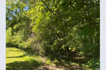 1640 Pleasant Ridge Road, Vienna, IL 62995 - Photo 31