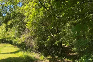 1640 Pleasant Ridge Rd, Vienna, IL 62995 - Photo 31