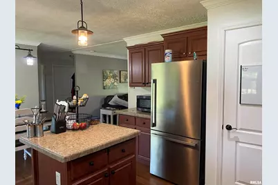 1640 Pleasant Ridge Road, Vienna, IL 62995 - Photo 9