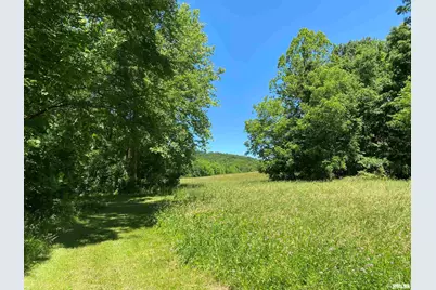 1640 Pleasant Ridge Road, Vienna, IL 62995 - Photo 5